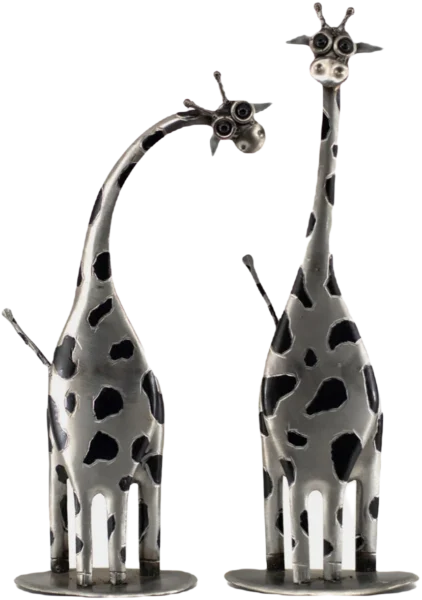 Giraffes